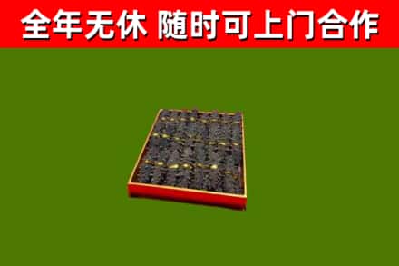 和静县回收海参